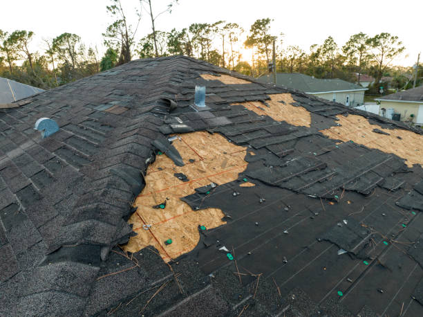 Best Green or Eco-Friendly Roofing Solutions  in Lewisville, TX